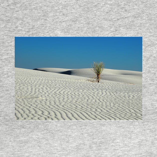 Lonely Yucca at White Sand Dunes by algill